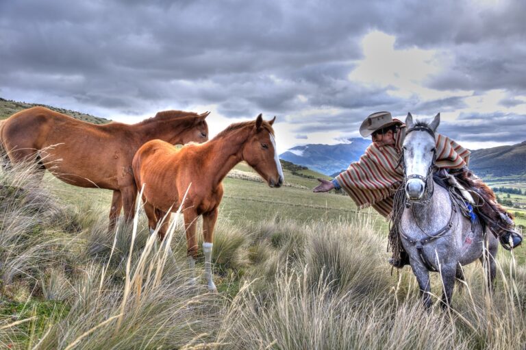 IMAGE FOR LA-129- & L-131 Copia de Horseback Riding at Hacienda El Porvenir (3)