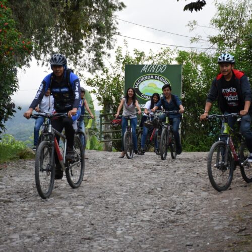 WhatsApp Image 2024-07-29 at 12.16.10 AM (2)