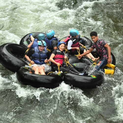 Z25XHSPQERF4FH755BMPS35FVI