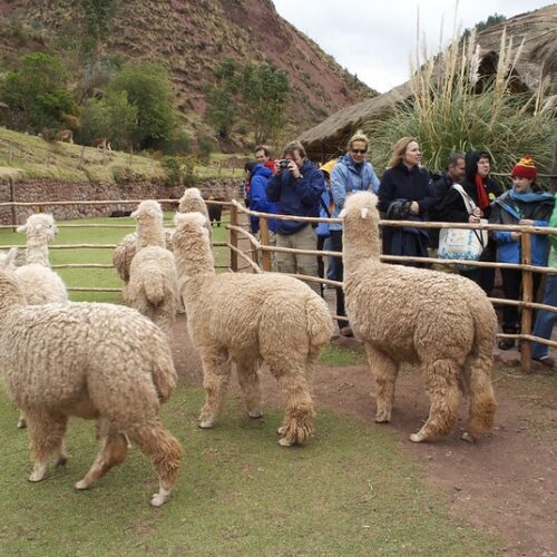 SACRED VALLEY -2